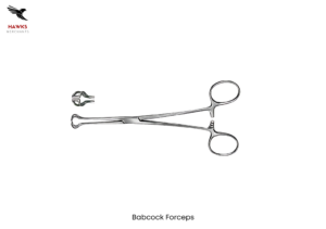 Babcock Forceps