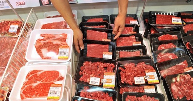 bulk raw meat supplie