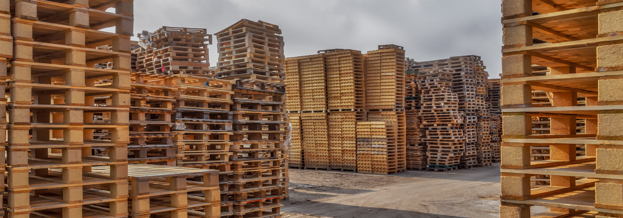 wooden pallets supplier