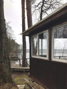 baltic birch plywood