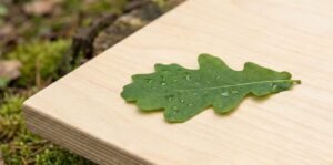 international plywood market trends 2026